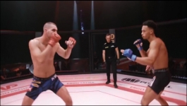 The Cage (HIndi) - Season 01 Episode 03